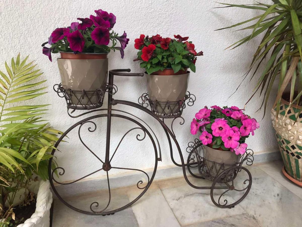 Makis Studios & Apartments Poros  Exterior photo